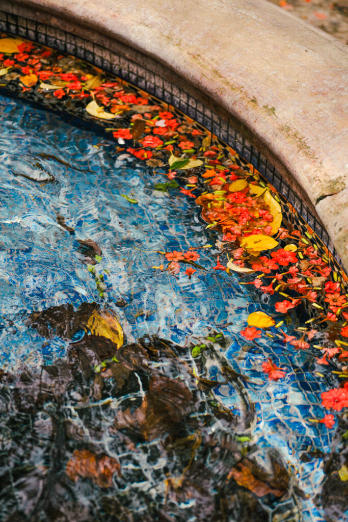 How Often Should You Shock Your Pool?